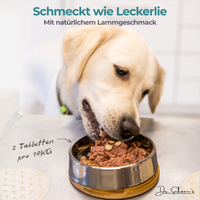 Hund frisst Nervenheld Kautabletten aus dem Napf, mit natürlichem Lammgeschmack