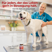 Tierärztin Dr. Schoen mit einem Hund und einer Dose Gelenkheld in ihrer Praxis