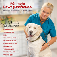 Tierärztin Dr. Schoen mit einem Hund und einer Dose Gelenkheld in ihrer Praxis
