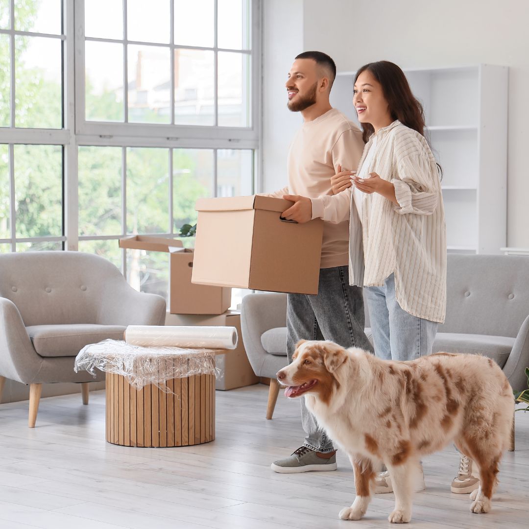 Umzug mit Hund: So reduzierst du Stress in der neuen Wohnung