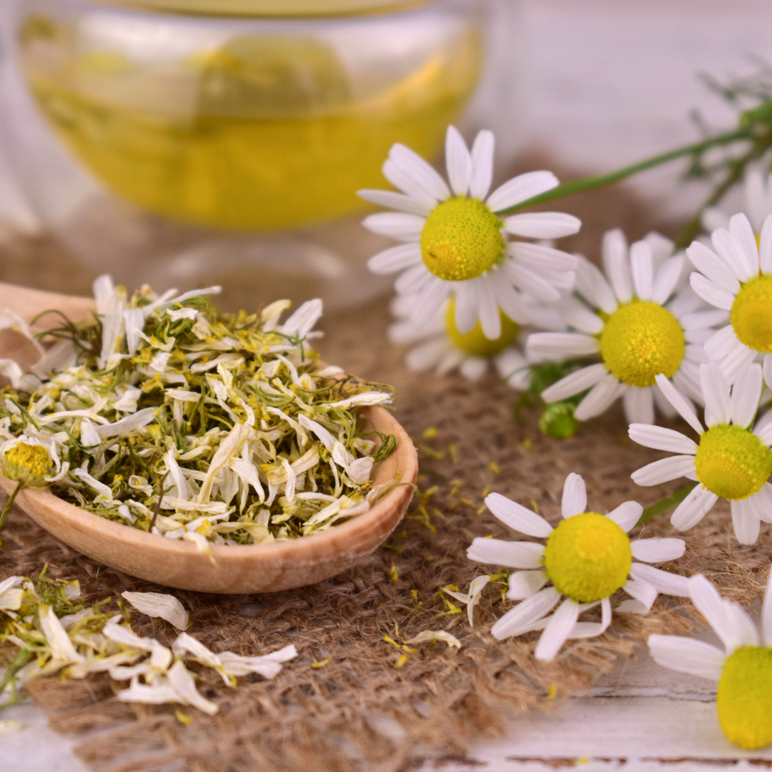 Kamille - Für sensible Nerven und Magen
