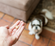 So schluckt dein Hund die Tablette – Mission Impossible? Nicht mit diesen 4 Tipps!