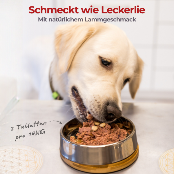 Dr. Schoen's Gelenkheld