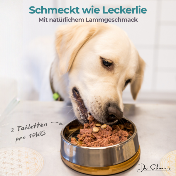 Dr. Schoen's Nervenheld