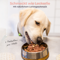 Hund frisst Dermaheld Kautabletten aus dem Napf, mit natürlichem Lammgeschmack