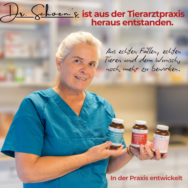 Dr. Schoen's Gelenkheld