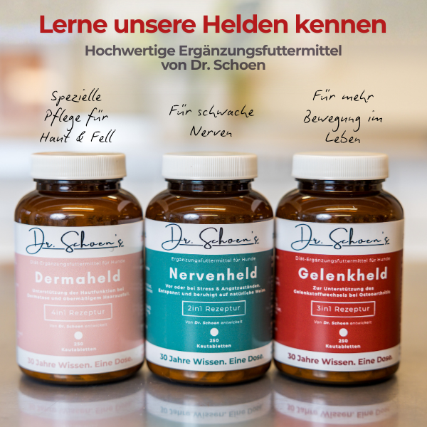 Dr. Schoen's Gelenkheld