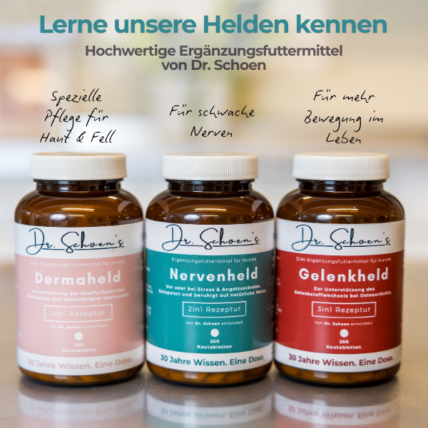Dr. Schoen's Nervenheld