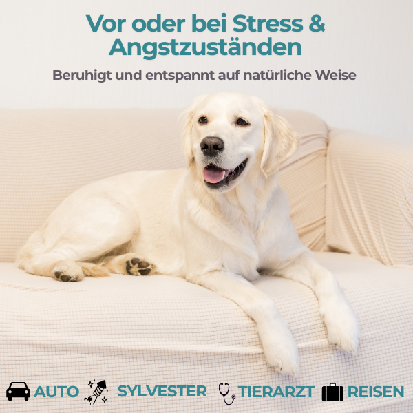 Dr. Schoen's Nervenheld