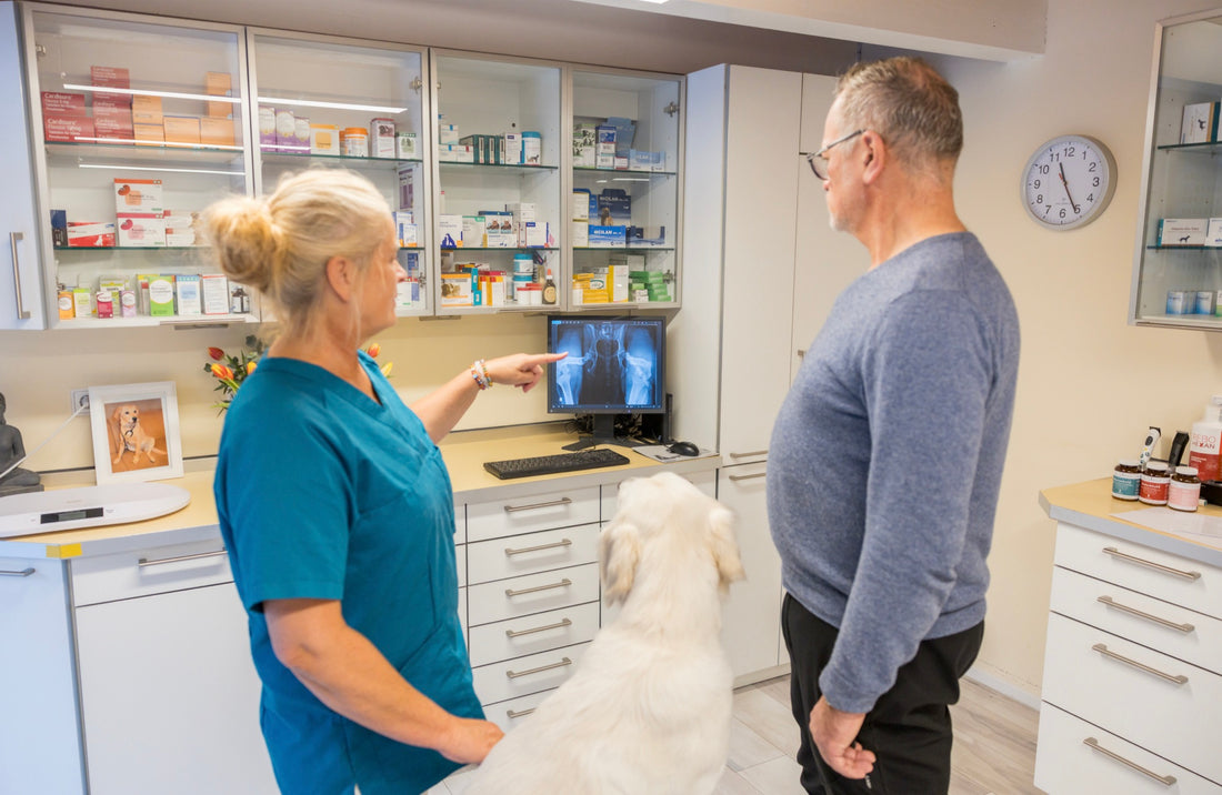Dr. Schön zeigt einem Hundehalter das Hüftröntgenbild seines Hundes auf dem Bildschirm