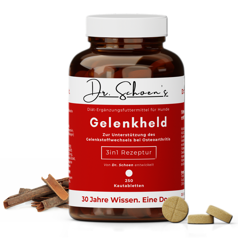 Dose Dr. Schoen's Gelenkheld, Diät-Ergänzungsfuttermittel für Hunde, 3in1-Rezeptur mit 250 Kautabletten