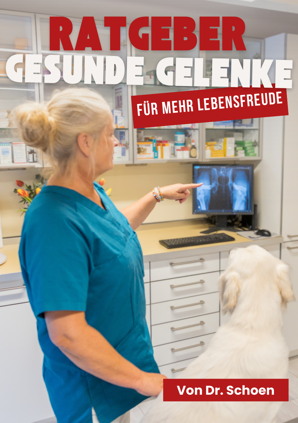 Ratgeber Gesunde Gelenke von Dr. Schoen