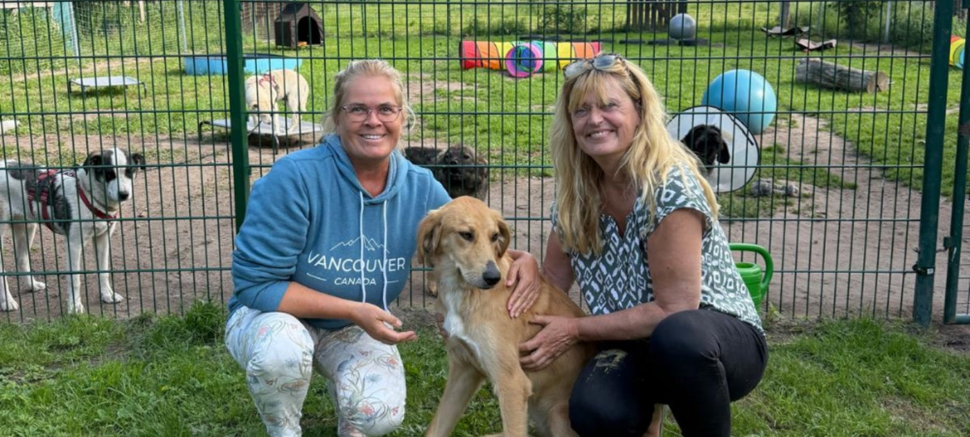 Zwei Helferinnen von Vierbeiner in Not e.V. mit einem geretteten Hund auf dem Auslaufgelände des Tierheims.